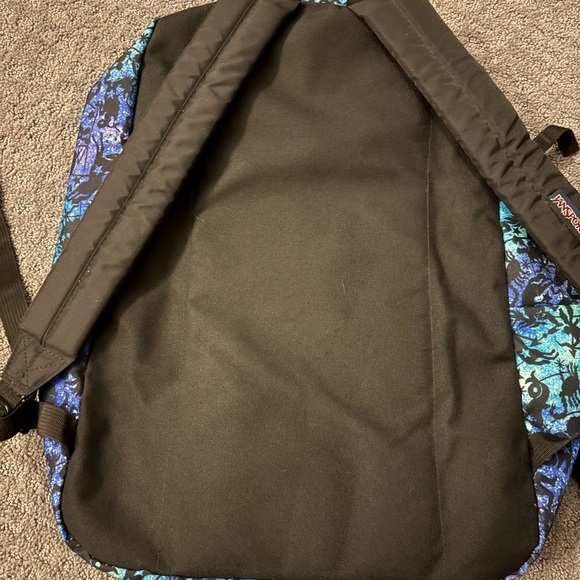 JanSport Multicolor Adventure Backpack - Picture 3 of 3